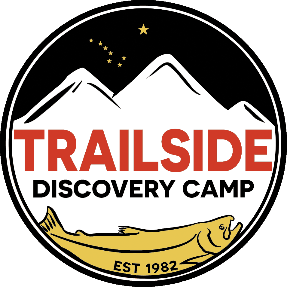 Summer Camp - AK Center Education Fund